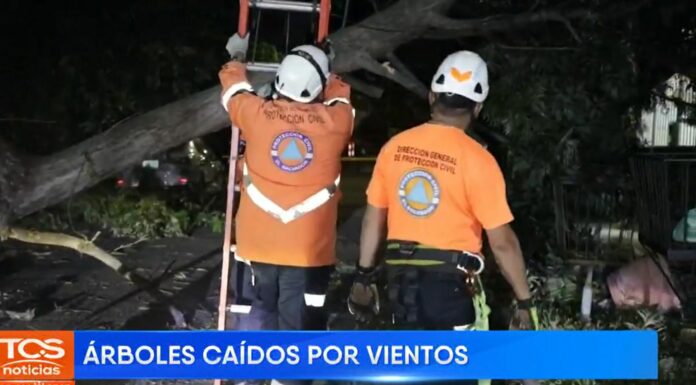 De acuerdo con el reporte del MARN, los vientos nortes continuarán durante este día, con velocidades promedio entre los 40 a 60 km/h.