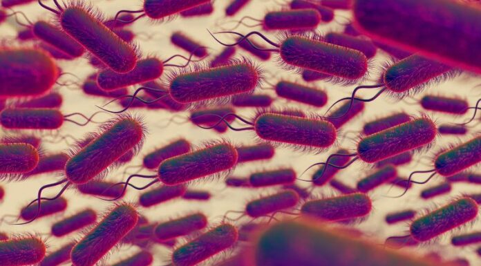 En México, se reportó la muerte de al menos 13 menores de edad por síntomas de posible contaminación de una bacteria.