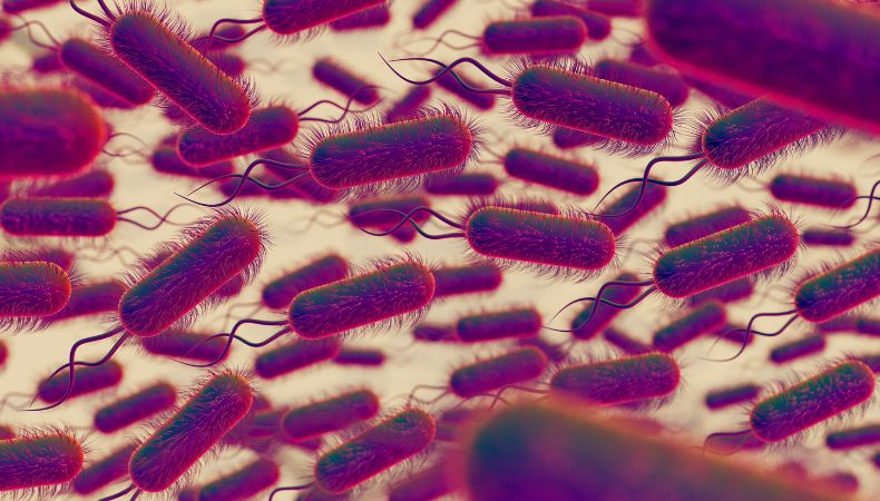 En México, se reportó la muerte de al menos 13 menores de edad por síntomas de posible contaminación de una bacteria.