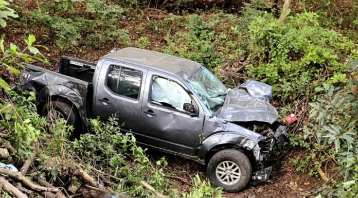 El conductor de un vehículo falleció tras haberse precipitado en un barranco en el municipio de San Miguel Oeste.