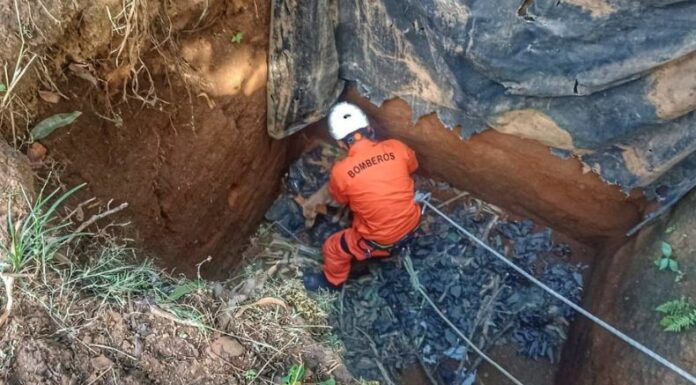 El Cuerpo de Bomberos rescató a un perrito que había caído al fondo de un pozo en el cantón Loma del Muerto, Sonsonate.