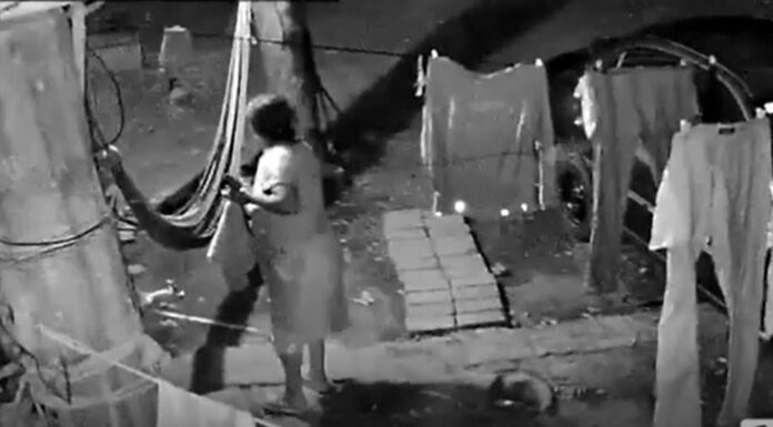 Te mostramos cómo las cámaras de vigilancia captaron el momento exacto en el que un sismo de 5.8 fue percibido en La Unión Sur.