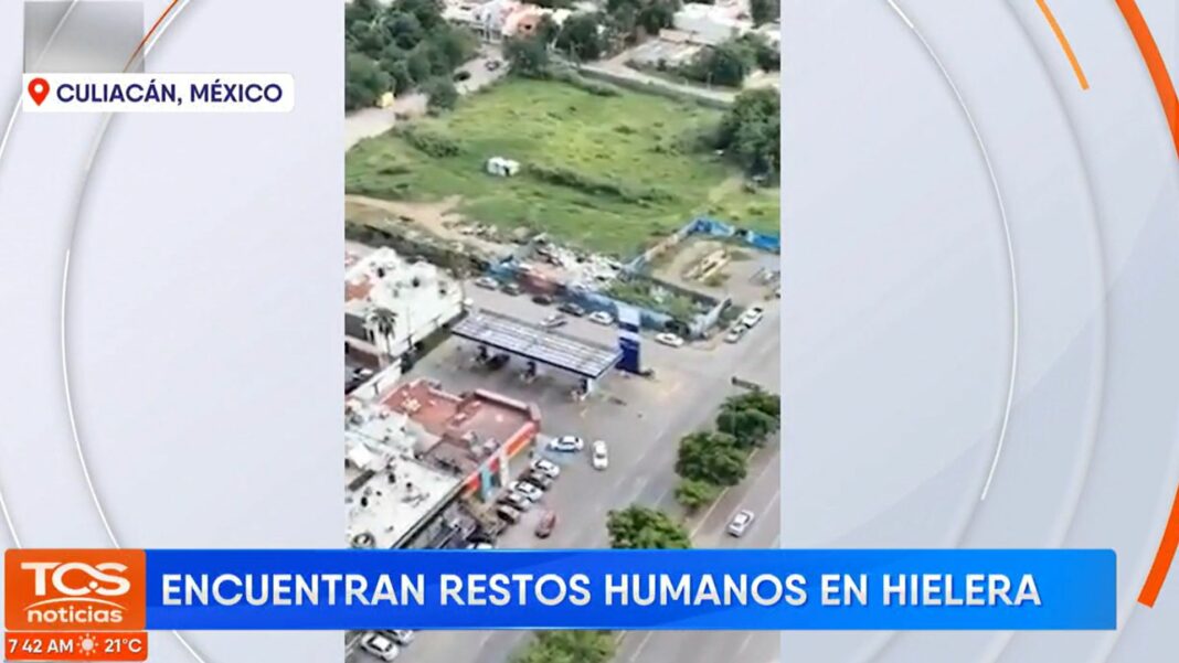 Las autoridades están llevando a cabo una investigación para identificar a los responsables del macabro hallazgo de los restos humanos.