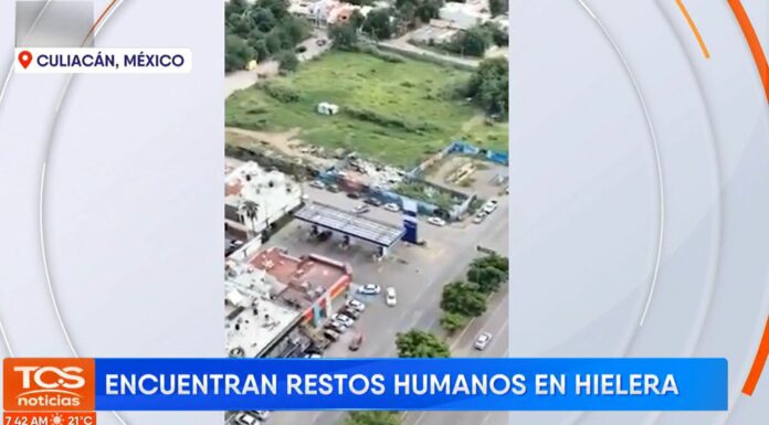 Las autoridades están llevando a cabo una investigación para identificar a los responsables del macabro hallazgo de los restos humanos.