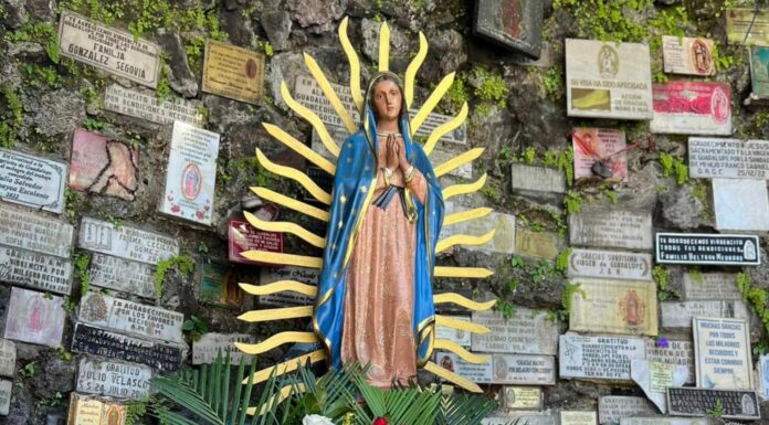 La celebración del día de la Virgen de Guadalupe está lista en la basílica del distrito de Antiguo Cuscatlán.