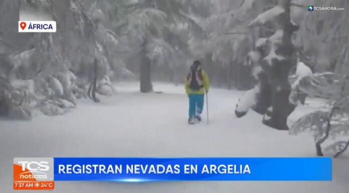Nevadas pocos comunes fueron las que experimentaron varias regiones de Argelia, un país que se localiza al norte de África.
