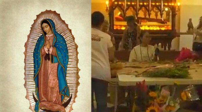 Foto: Imagen de carácter ilustrativo y no comercial/ Obtenido de Pixabay:https://pixabay.com/es/illustrations/our-lady-of-guadalupe-4542832/