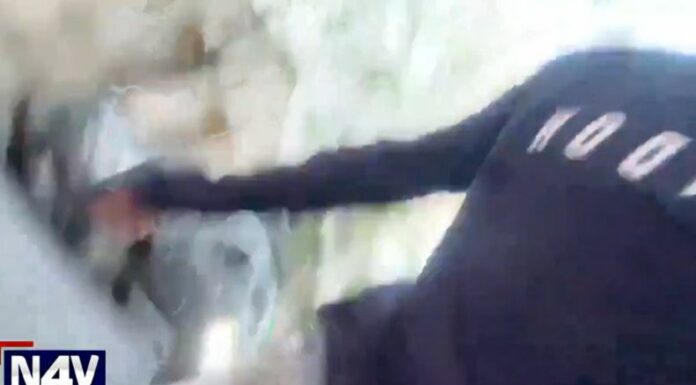 En Argentina, unos jóvenes estaban con su celular transmitiendo en vivo, cuando dos motociclistas se los roban.