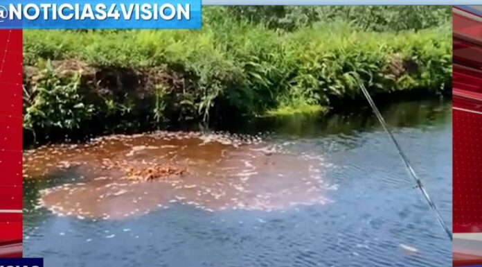 Un pescador captó un extraño suceso al notar que, de un momento a otro, una sustancia de color café parece emerger de un río.