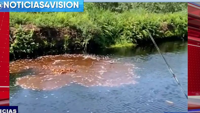 Un pescador captó un extraño suceso al notar que, de un momento a otro, una sustancia de color café parece emerger de un río.