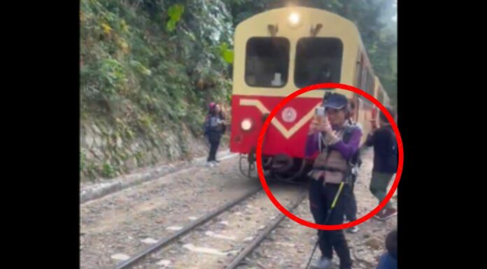 A días de que se viralizó el caso de una mujer que cayó de un tren, se presenta una situación similar con una turista por tomarse una selfie.