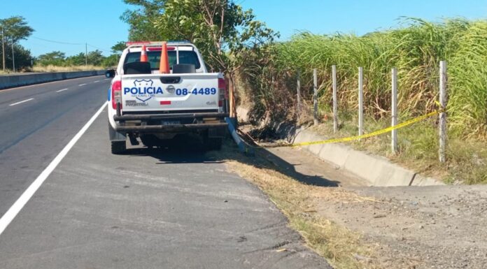 De acuerdo con cifras del Observatorio Nacional de Seguridad Vial (Onasevi), en lo que va del año 486 motociclistas han perdido la vida.