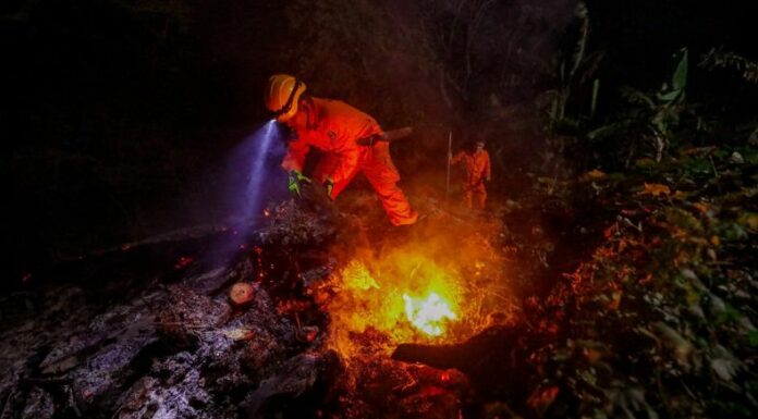 Durante la madrugada, Bomberos extinguió un incendio registrado en un terreno con abundante maleza seca.