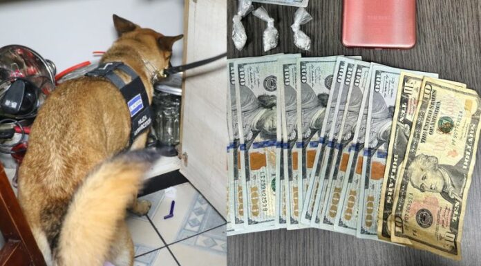 Esta madrugada, la FGR y la PNC ejecutaron órdenes de capturas contra varios sujetos que están vinculados al comercio ilegal de drogas.