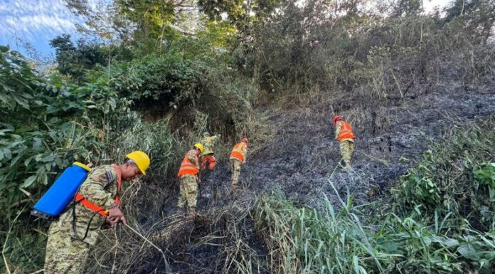 Instituciones de servicio reportaron que sofocaron un incendio de maleza seca en La Campanera, de Soyapango.