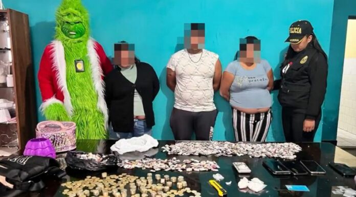 Un ingenioso policía, disfrazado del popular personaje del Grinch, lideró un exitoso operativo antidrogas en Lima, Perú.