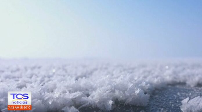 Las bajas temperaturas en el Lago Bosten, en China han dejado impresionantes imágenes de flores de hielo y otras figuras delicadas.