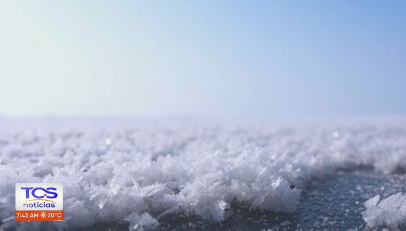 Las bajas temperaturas en el Lago Bosten, en China han dejado impresionantes imágenes de flores de hielo y otras figuras delicadas.