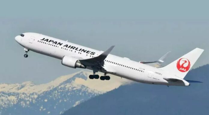 La aerolínea de Japan Airlines sufrió un ataque cibernético que retrasó vuelos en la plena temporada navideña.