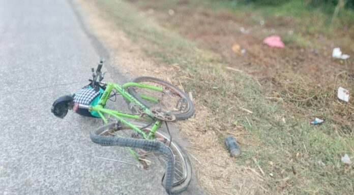 La Policía indicó que un ciclista falleció tras ser embestido por un vehículo sobre el kilómetro 74 de la carretera Litoral, Tecoluca.