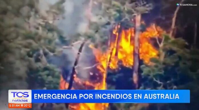 El sureste de Australia se mantiene en emergencia ante los intensos incendios forestales que afectan el país.