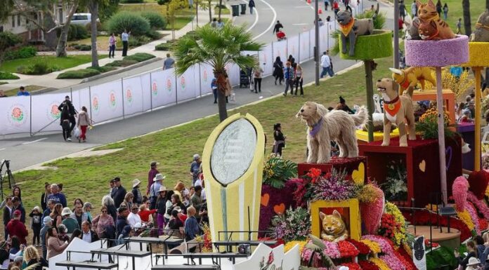 El Desfile de las Rosas 2025 trae un gran show para iniciar el año como se debe: con esta nostálgica tradición. Conoce los detalles.