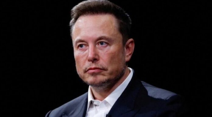 El gobierno de Alemania afirmó que Elon Musk está tratando de influir en las elecciones legislativas para 2025.