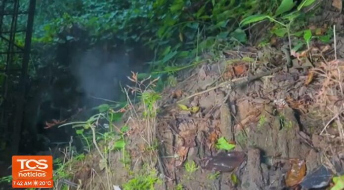 Los infiernillos son los respiraderos del Volcán de San Salvador. A continuación, le ampliamos en que ecoparque están ubicados.