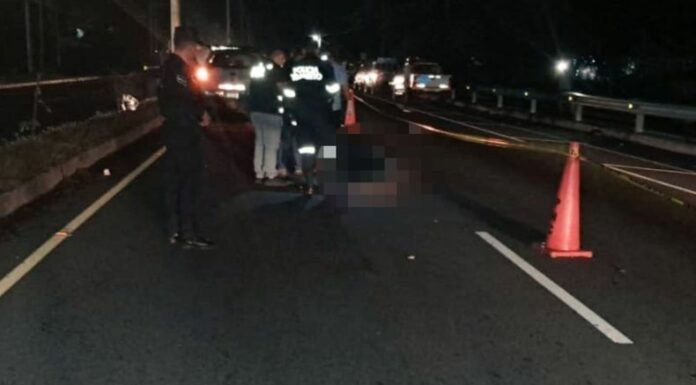 Sobre el kilómetro 127 de la carretera Panamericana, a la altura de Quelepa en San Miguel, la PNC reportó a un peatón atropellado.