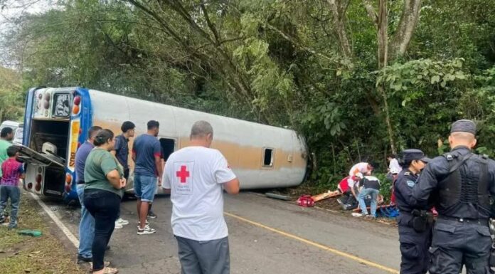 Un autobús volcó esta mañana en la carretera que conduce de Santo Domingo a San Sebastián, San Vicente.