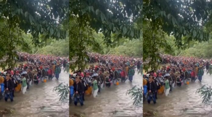 La cifra de migrantes que cruzó la selva del Darién cayó un 41% en 2024, reportaron las autoridades panameñas.