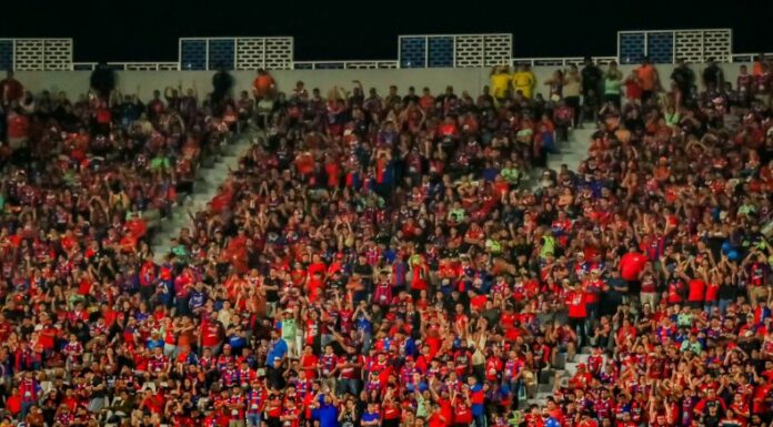 Los tigrillos comienzan el mercado de fichajes con dos incorporaciones de nivel.