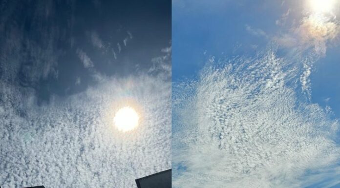 En El Salvador, la gente acostumbra a decir que el cielo azul con ciertas nubes y que parece petateado es el anuncio de un sismo y a veces, se acierta.