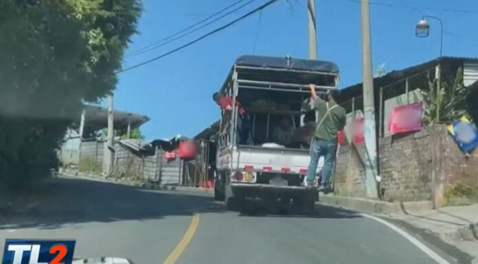 Es común ver en las carreteras que varias personas viajen en las camas de los pick ups, pero muchos no saben que esta práctica está regulada.