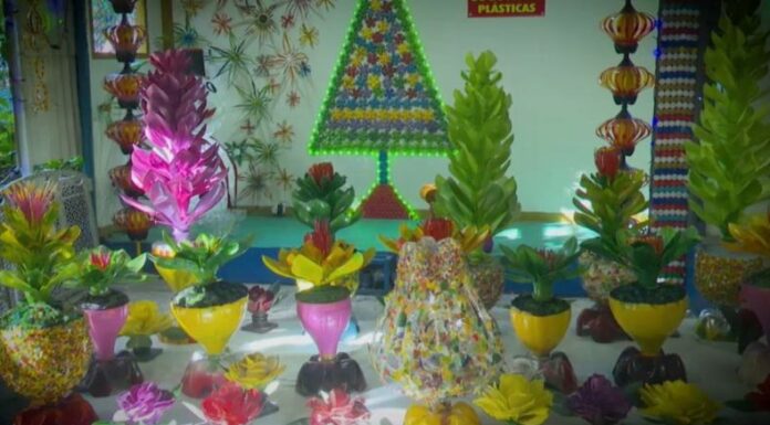 Lucio Delgado es un artista que se encarga de trasformar las botellas de plástico en increíbles flores, una alternativa para reciclar.