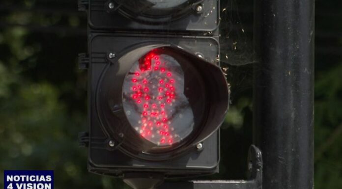 El irrespeto a los semáforos peatonales instalados en diferentes arterias, se ha vuelto una práctica común por parte de los conductores.