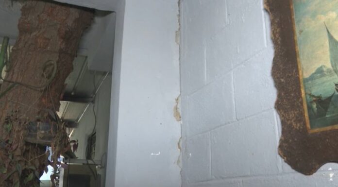 Los sismos pueden causar daños significativos en las viviendas, incluso si no son evidentes a simple vista.