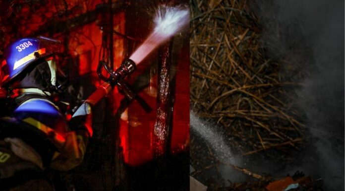 Dos incendios, uno en maleza y otro en una vivienda, fueron sofocados por elementos del Cuerpo de Bomberos.