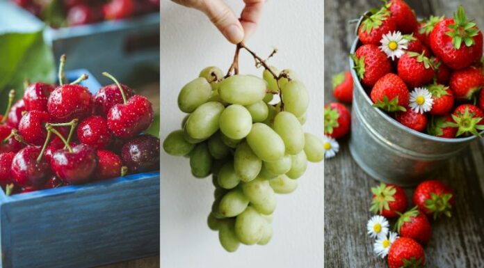 ¿Sabía que existen alimentos que ayudan a dormir mejor? En la siguiente nota le compartiremos todos los detalles.