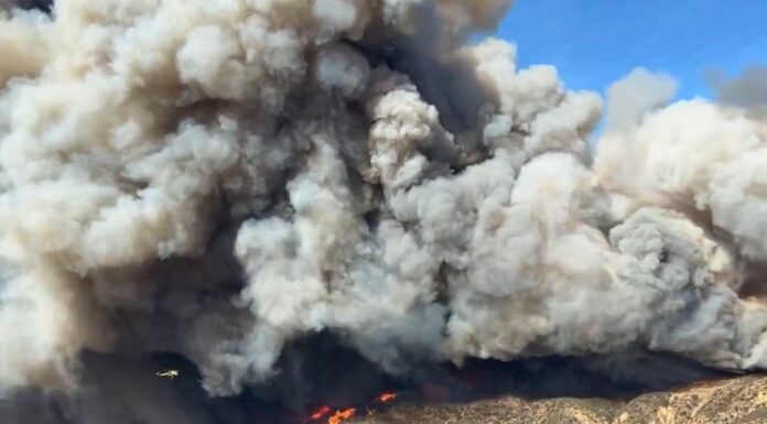 Un nuevo incendio forestal se desató cerca del lago Castaic, en el condado de Los Ángeles, en Estados Unidos.