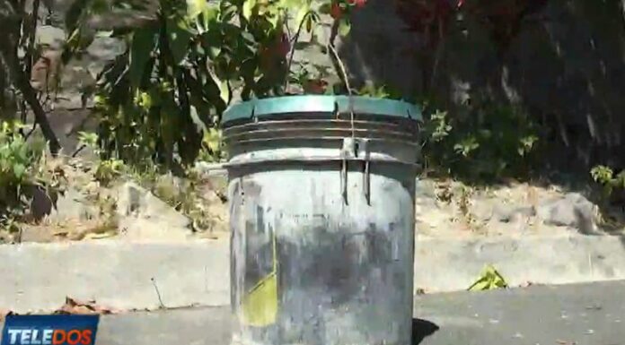 En varias calles es común ver objetos para apartar estacionamientos delante de viviendas, algo que es ilegal y es sancionado.