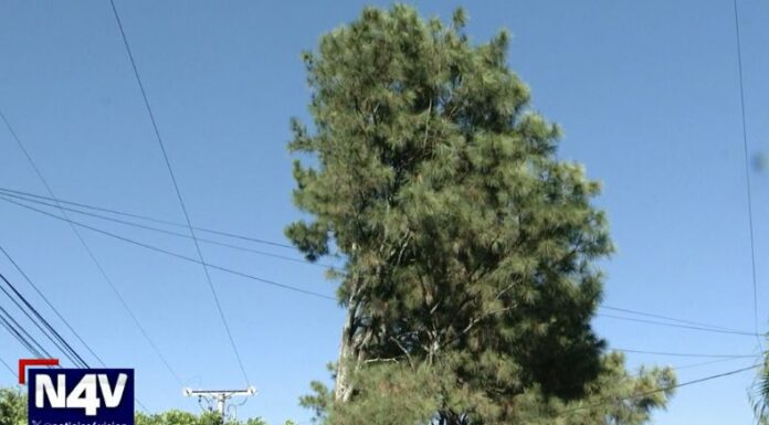 Los fuertes vientos pueden representar un peligro significativo para la seguridad de las personas y sus bienes.