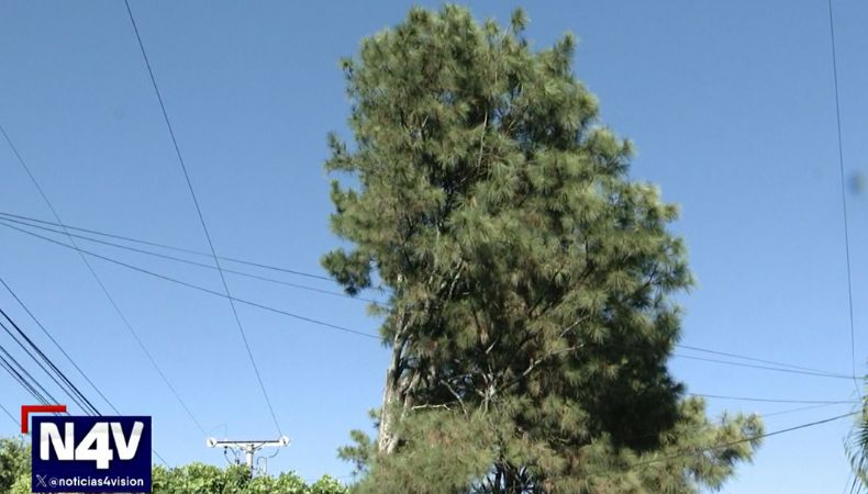 Los fuertes vientos pueden representar un peligro significativo para la seguridad de las personas y sus bienes.