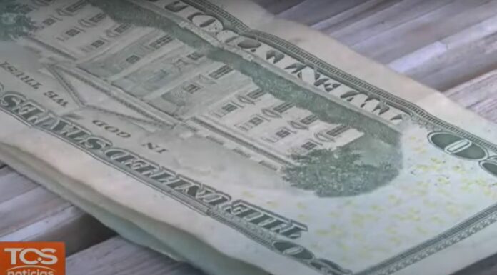 Un obstáculo grande para los jóvenes son los gastos hormiga, que pueden parecer inofensivos, pero a largo plazo afecta finanzas personales.