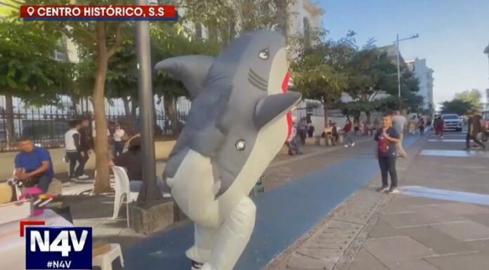 Gerson Gálvez es un joven que da vida a Tiburoncín, una botarga auténtica que se encarga de sacar risas en el Centro Histórico de San Salvador.