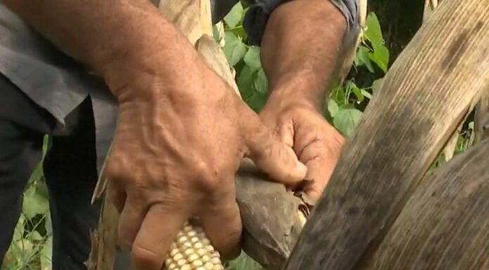 El impacto climático y las dificultades económicas son parte de los problemas que enfrentan las familias en El Bajo Lempa.