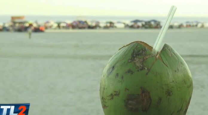 El agua de coco se ha convertido en una de las bebidas naturales más populares, gracias a sus múltiples beneficios para la salud.