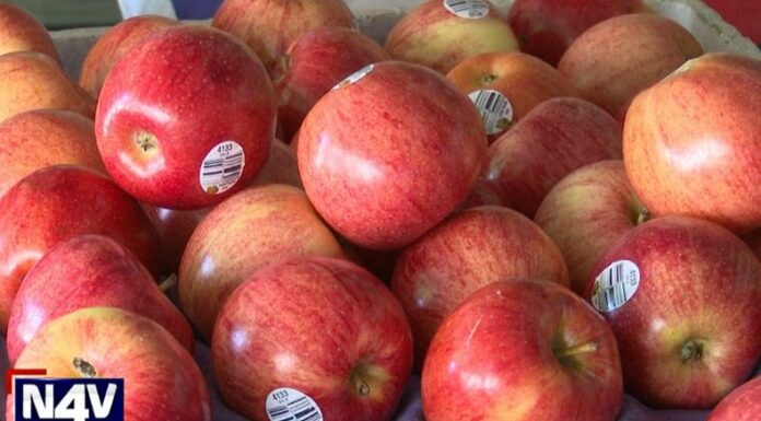 Mantener una alimentación saludable es fundamental para las personas con diabetes, ya que les puede mejorar la calidad de vida.