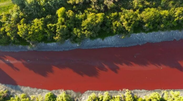 Habitantes del municipio de Avellaneda, a 10 kilómetros de Buenos Aires, se mostraron preocupados luego que las aguas de un arroyo bajaran teñidas de un intenso color rojo.