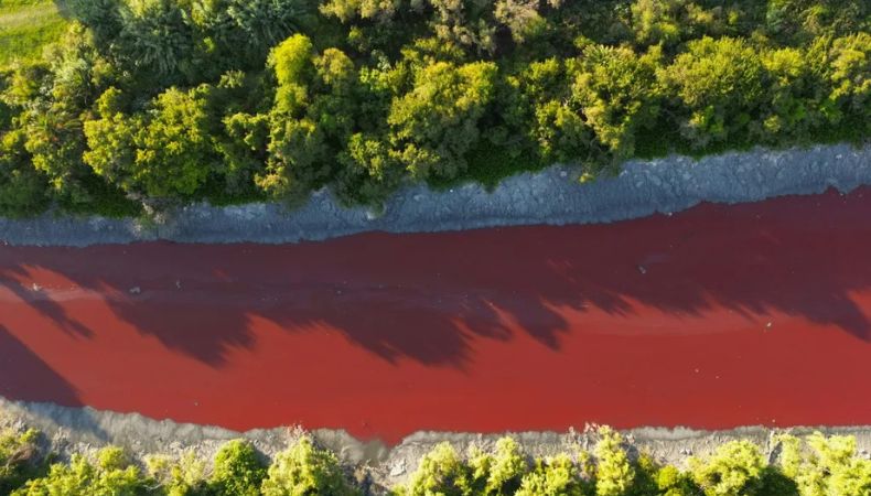 Habitantes del municipio de Avellaneda, a 10 kilómetros de Buenos Aires, se mostraron preocupados luego que las aguas de un arroyo bajaran teñidas de un intenso color rojo.